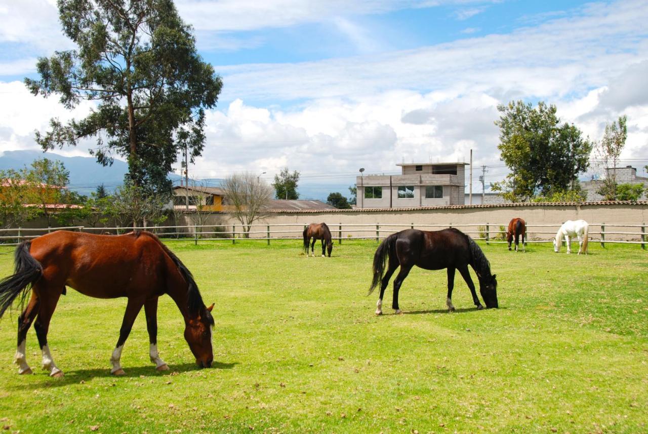 Hacienda Cusin Ξενοδοχείο Otavalo Εξωτερικό φωτογραφία